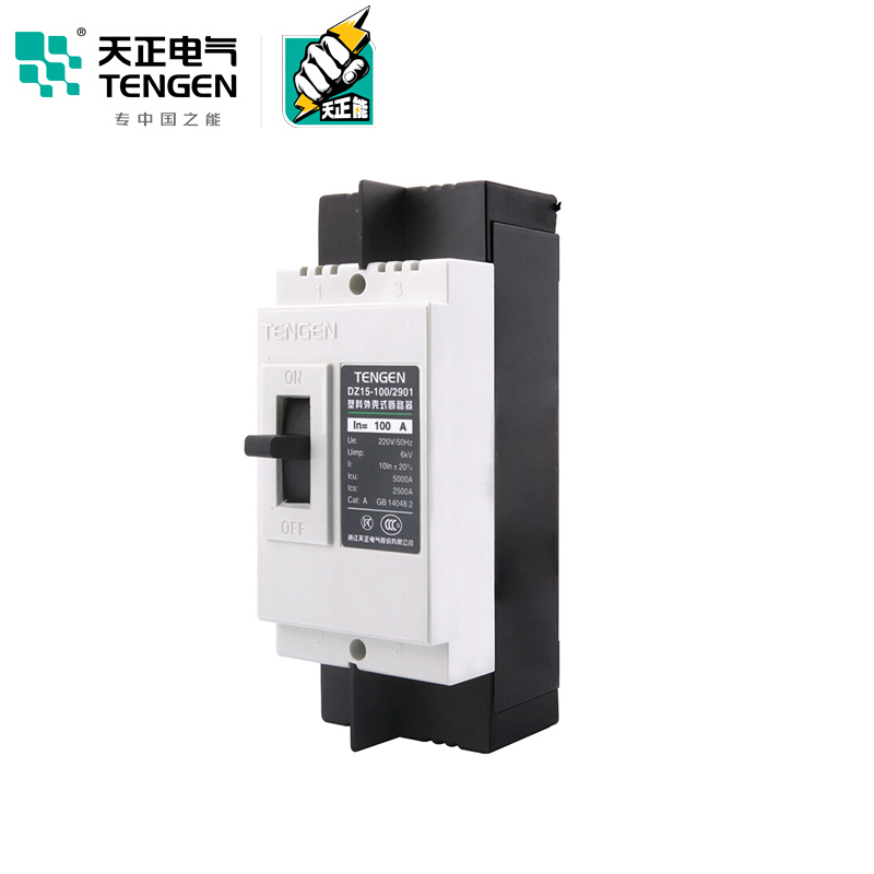 天正电气 DZ15-100 5KA 热磁式 100A 2P 手动 固定式 220V 01040030001 塑壳断路器