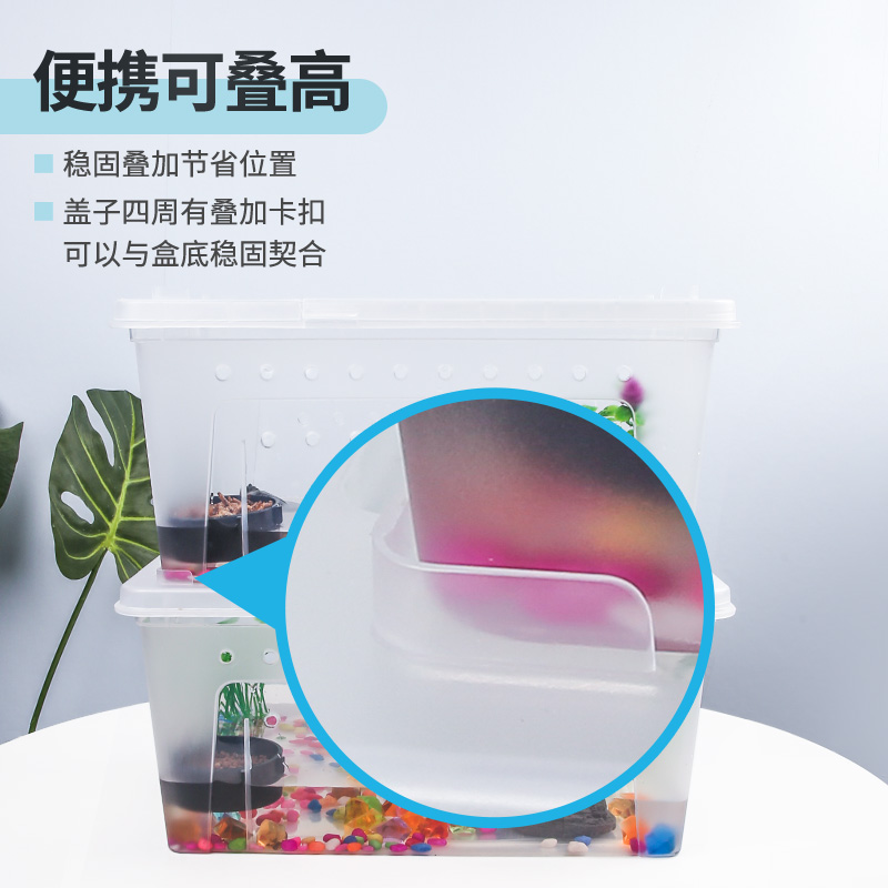 小乌龟饲养盒子陆龟两栖缸蝾螈箱迷你带盖乌龟盆缸宠物盒高清大图