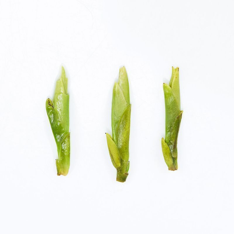 特级绿茶 一斤装