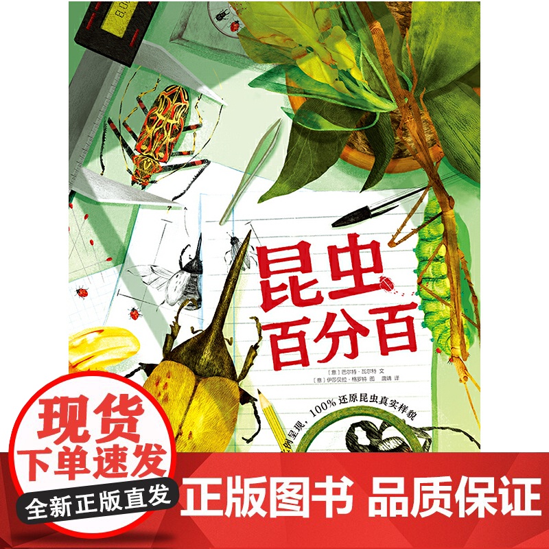 昆虫百分百高清大图