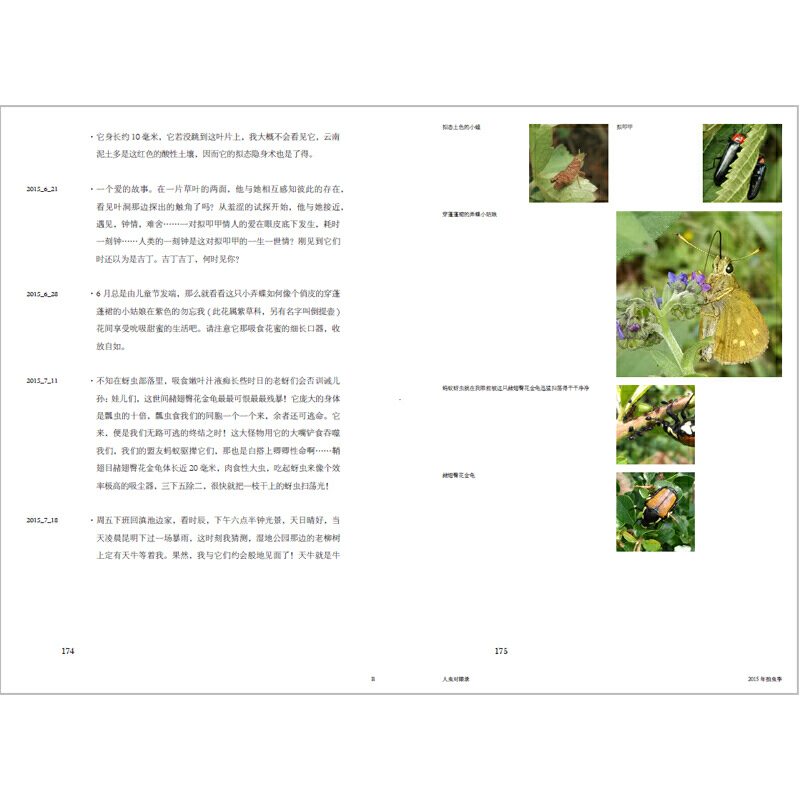 [正版]与虫在野 作家半夏博物学新作5年详细观察记录刘华杰教授作序 昆虫学自然观察笔记生物动物学书籍昆虫观察记录广西