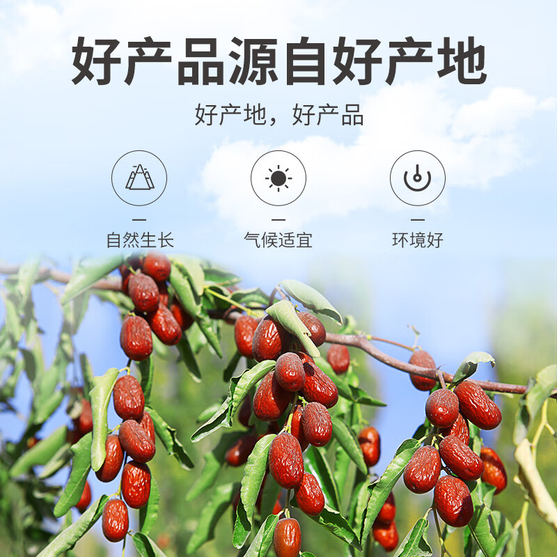 方家铺子 红枣片 无核免洗泡茶 养生茶 200g*2瓶装高清大图