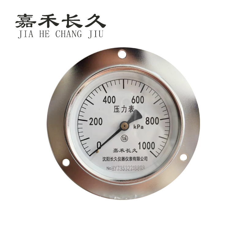 嘉禾长久 压力表轴向带边检测定制型 Y100ZT 块