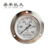 嘉禾长久 压力表轴向带边检测定制型 Y100ZT 块