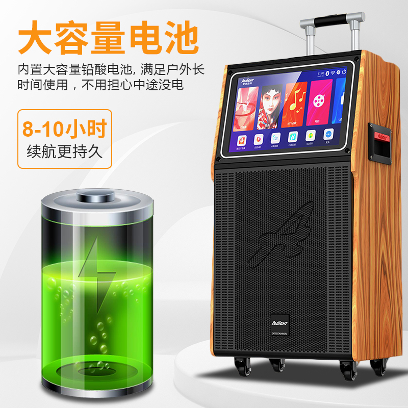 爱浪(Avlight)DS11-215广场舞音响带显示屏拉杆户外演出户外网红直播蓝牙音箱无线麦克风内置声卡