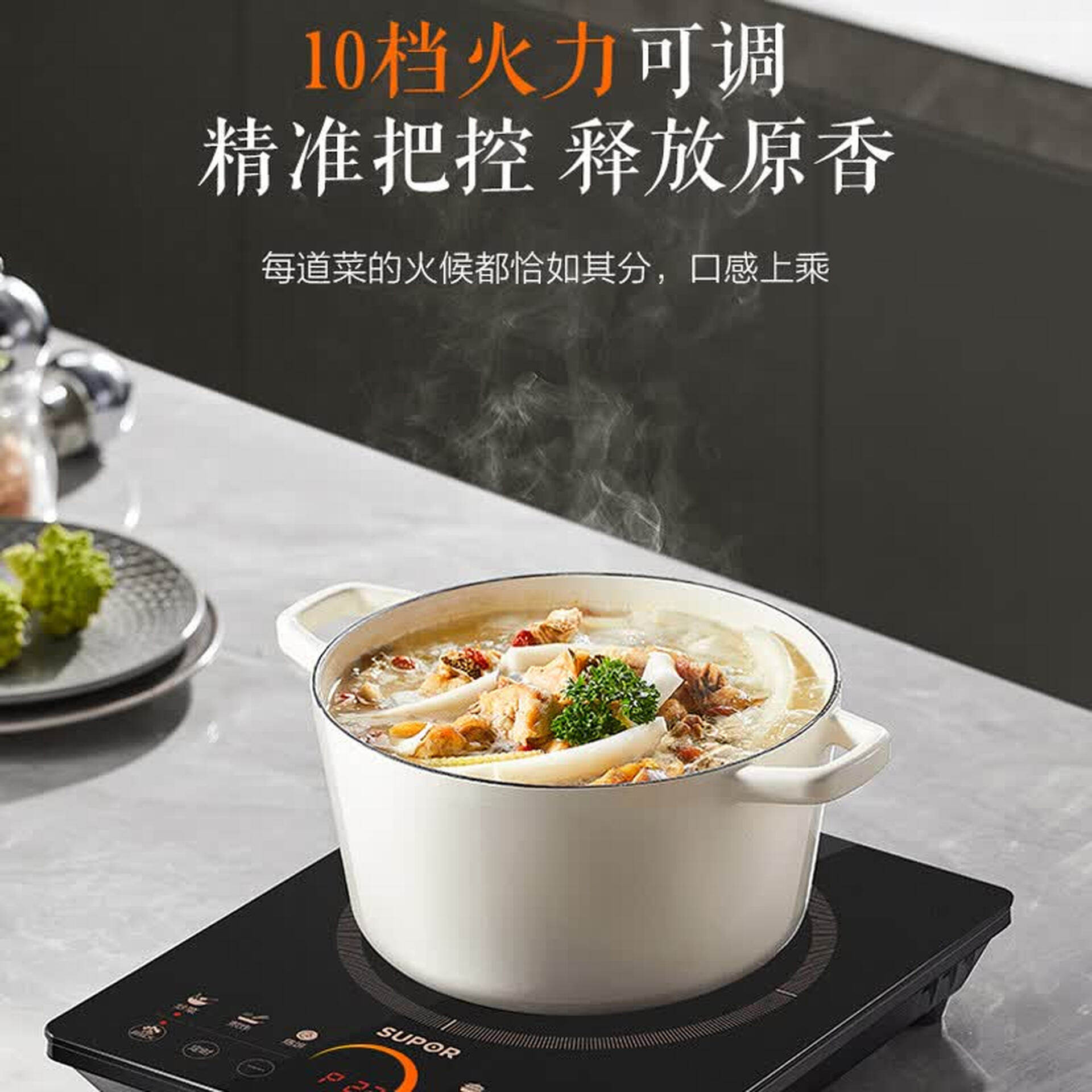 苏泊尔电磁炉2200W微晶面板触控10档火力预约定时过热保护防水设计电磁炉 C22-IA95D高清大图
