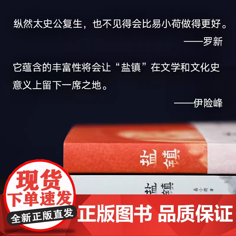 盐镇 易小荷 中国乡镇女性生活与命运的缩影2023新书力作 新经典正版文学文化史人文 现当代文学书籍随笔散文书高清大图
