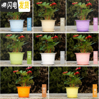 三维工匠波浪花边莲花盆塑料树脂仿陶型大花盆多肉绿萝花盆可水培送托盘 紫色[开孔留言] 小号[口径15cm]15个花盆容器