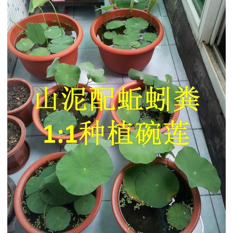 过筛粘性山泥土基质土有机配方土 养花树桩盆景定根碗莲宠物垫材