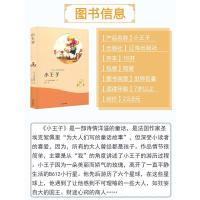 有声伴读 小王子 正版 有声读物中英双语全本名家名译中小学生课外书 7-9-12-15岁青少年阅读书目五六年级课外书