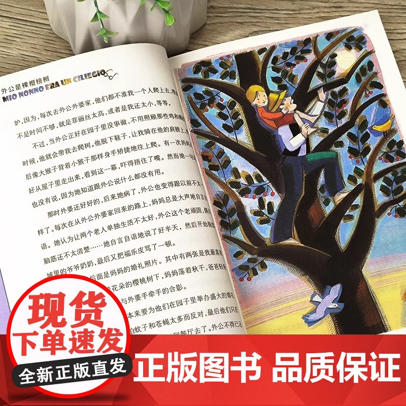 外公是棵樱桃树 国际大奖小说升级版 意大利班卡雷力诺奖 儿童文学故事书小学生三四五六年级课外书阅读书籍儿童成长文学正版高清大图