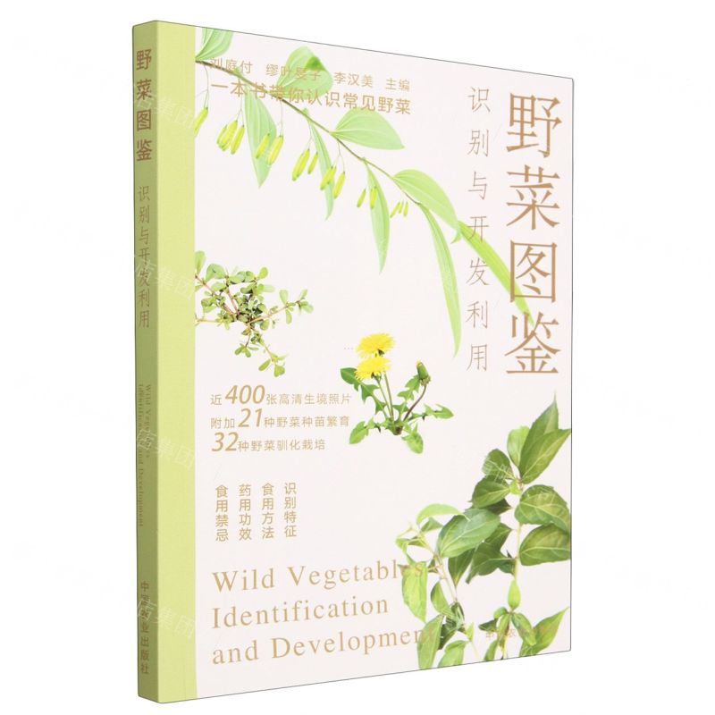 [N]野菜图鉴(识别与开发利用)-9787109304437高清大图