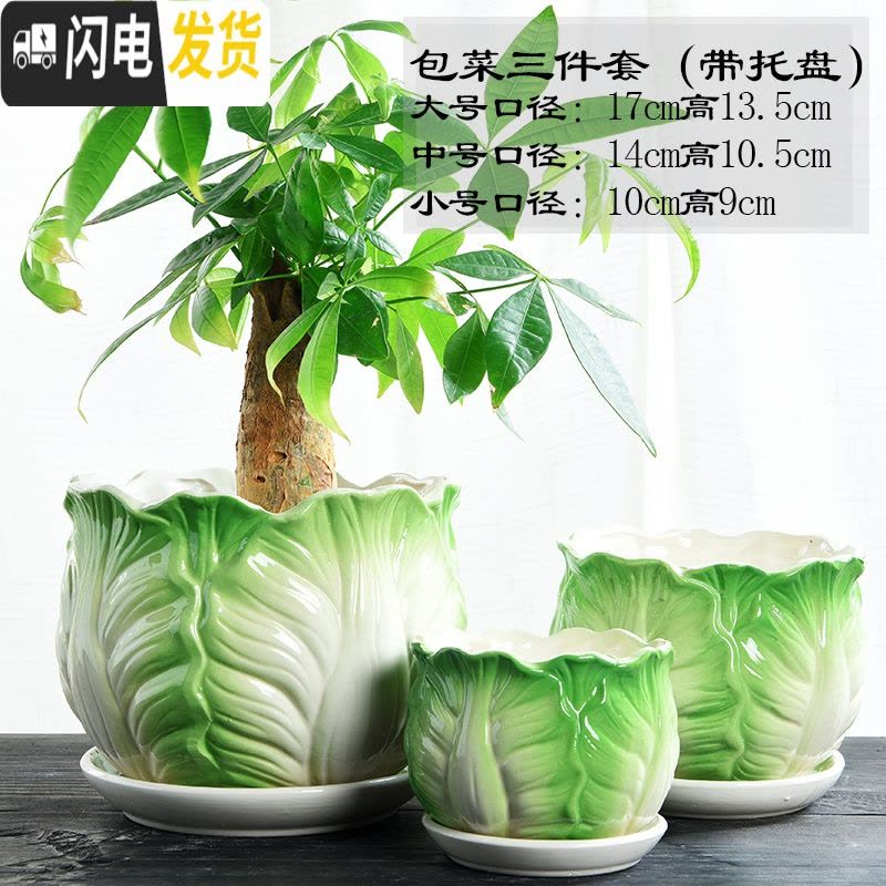 三维工匠花盆陶瓷大号特大号肉肉个性家用创意绿萝多肉花盆 包菜三件套 大花盆容器图片
