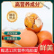 新鲜13天活珠子即食熟食原味毛蛋钢化蛋毛鸡蛋鸡胚蛋凤凰蛋非五香