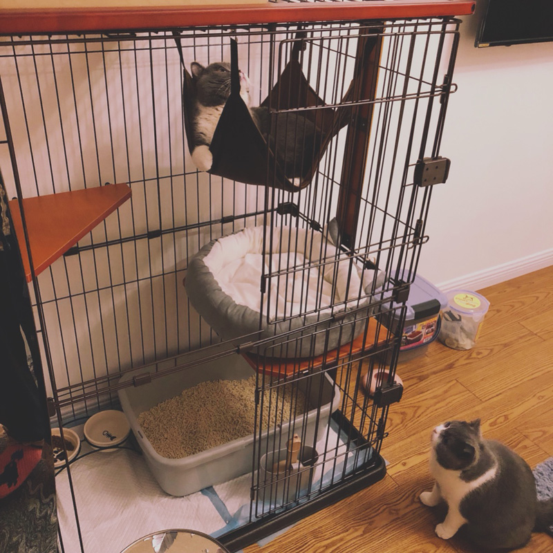 猫笼两层三层四层大号猫别墅猫咪笼子实木木框猫别墅高清大图