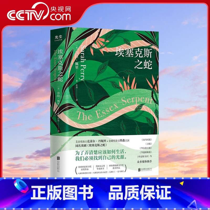 【正版】央视网埃塞克斯之蛇 英国国家图书奖获奖作品 国际都柏林文学奖提名作品 为了弄清楚应该如何生活 我们必须找到自己
