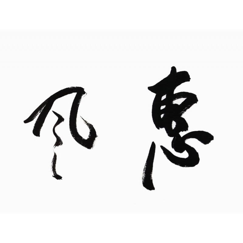 欧阳中石书法手写四尺纸惠风和畅赠合影简介商务礼品收藏图片