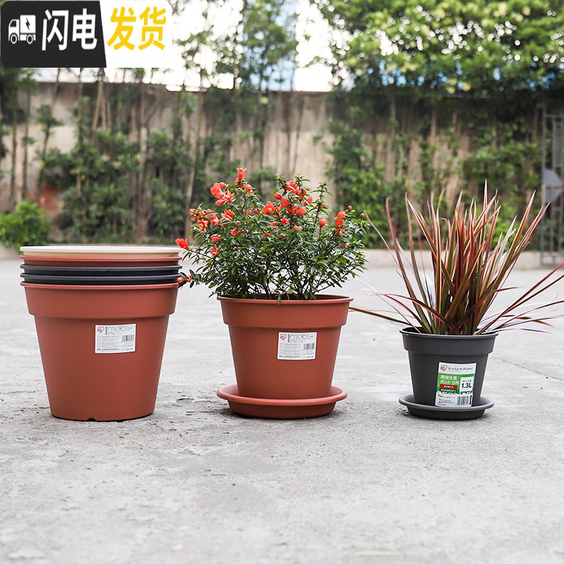 三维工匠花盆园艺简约素烧风花盆圆口加厚树脂多肉吊兰绿萝花盆p586 [素烧风]6号暗褐(盆+托) 中等花盆容器高清大图