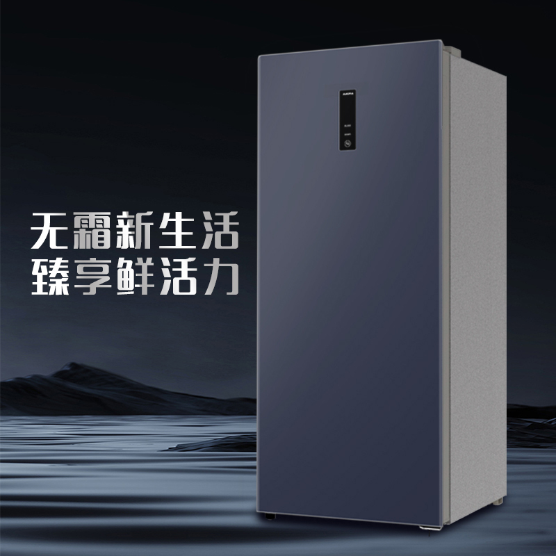 澳柯玛立式风冷冷柜BD-155WHSN