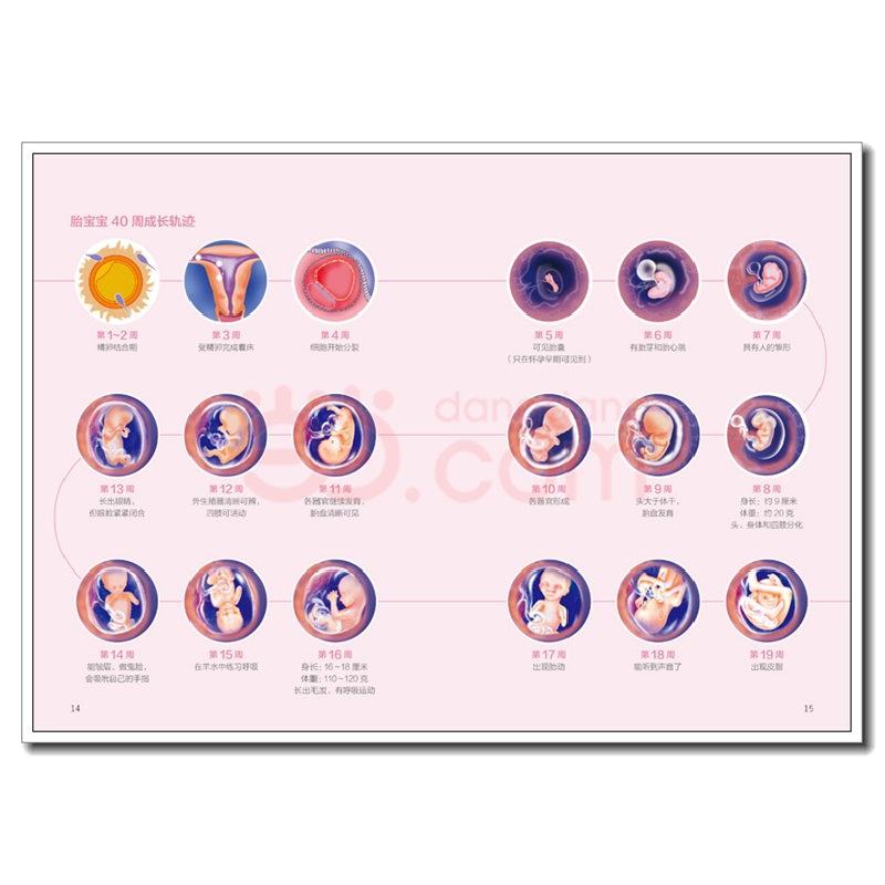 正版新书]协和医生+协和妈妈圈干货分享怀孕 有声版 妇幼保健马高清大图