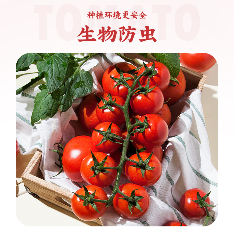 [苏宁自主品牌]苏鲜生串收番茄 198g*4盒 小番茄圣女果水果