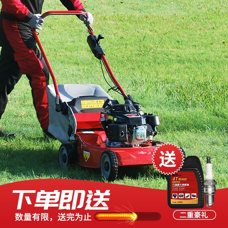 凯姿(KAZZ)KZ536HH(手推)割草机汽油草坪机21寸手推式剪草机打草机割草机推草机 单位:台高清大图