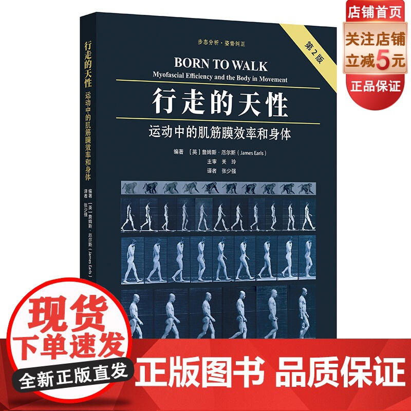 行走的天性 运动中的肌筋膜效率和身体 第2版 步态分析 姿势纠正 权威书籍修订版 道尽直立行走的力学奥秘和方法 北京科学