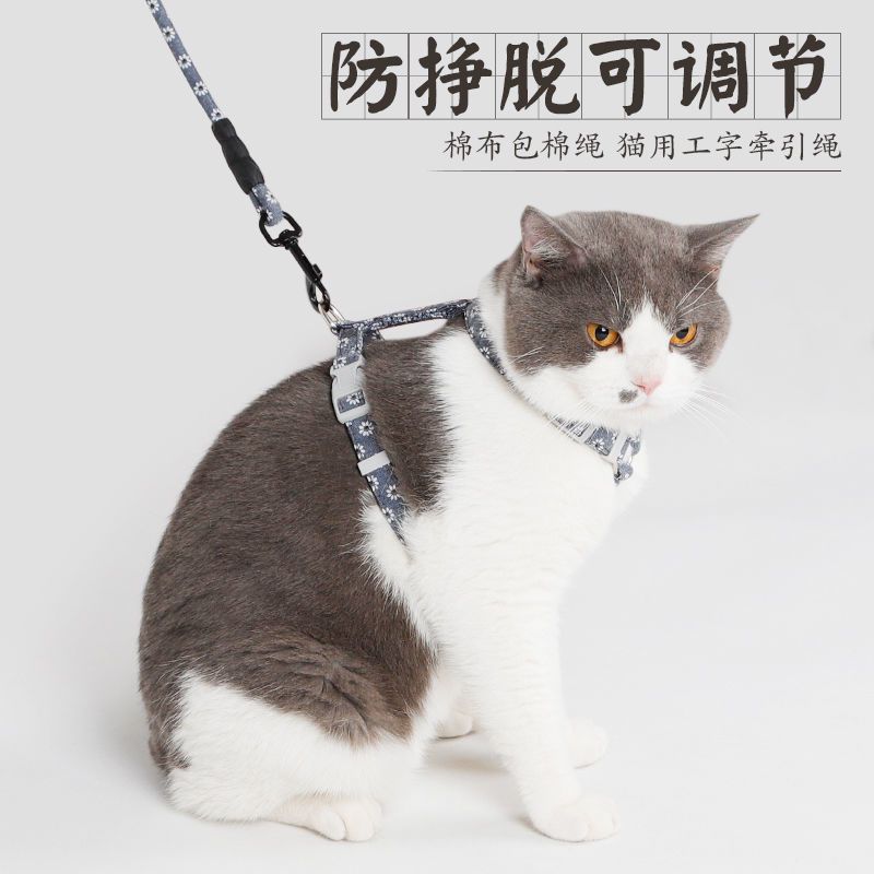 [简约款式]黑色 S码[建议1-6斤] 猫咪防挣脱牵引绳猫绳子遛猫绳猫胸背绳兔子幼猫链子可调节溜猫