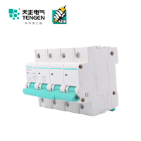天正电气 空气开关 TGB1N-125 4P C 80A 6kA 01060280042 微型断路器