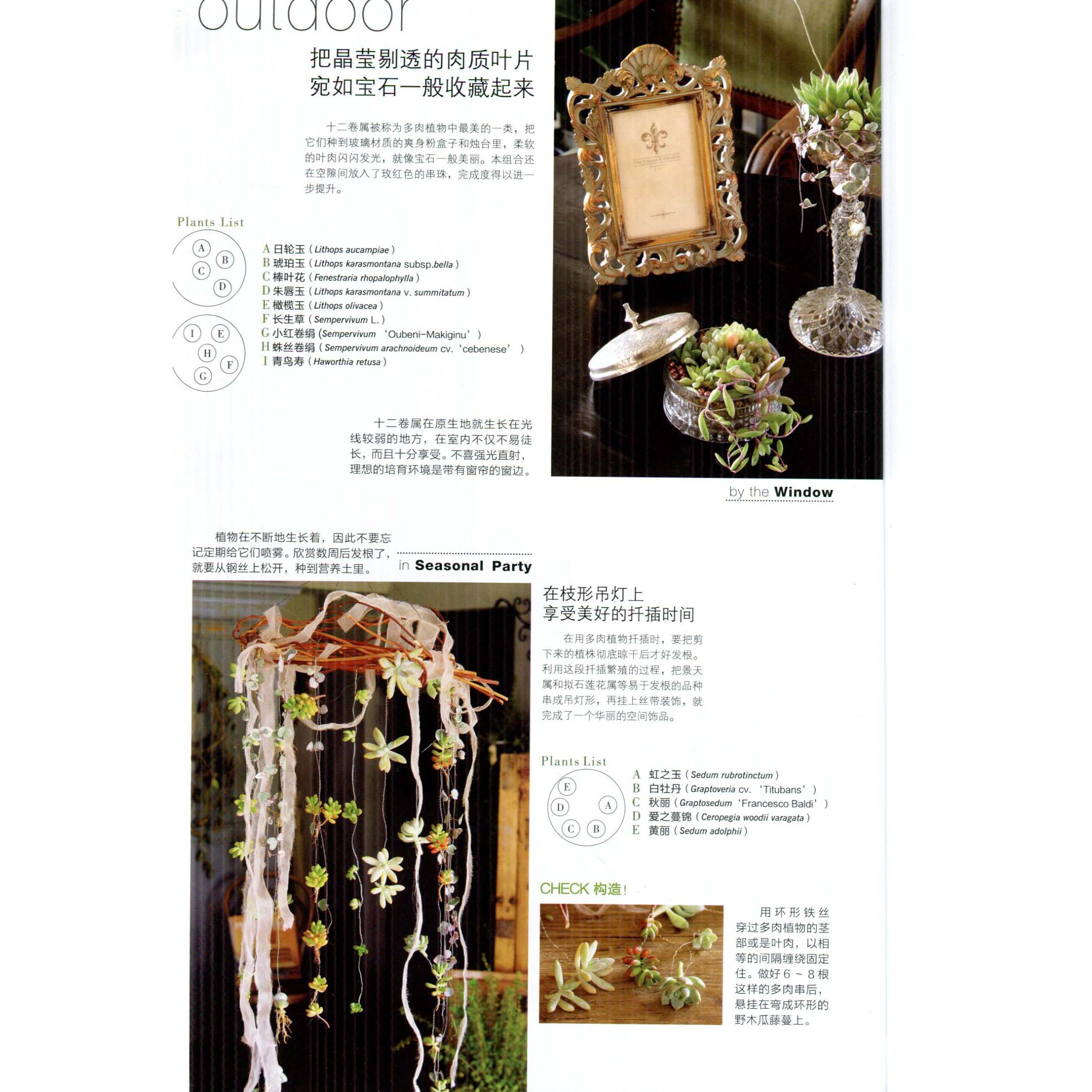 [正版图书]花园mook办公室盆栽种植书籍大全阳台花园木村卓功种植书园林植物书籍阳台花园布置设计园艺书花园mook绿手指高清大图