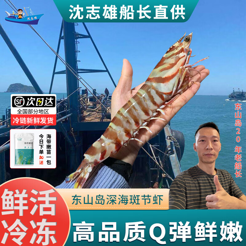 沈志雄船长 东山岛海捕海鲜超大斑节虾竹节虾明虾基围虾400g/2-3条/盒共2盒共净重800g