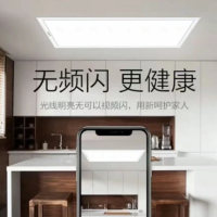 欧普LED吊顶灯铝扣板595*595mm 48W3cm塑钢框