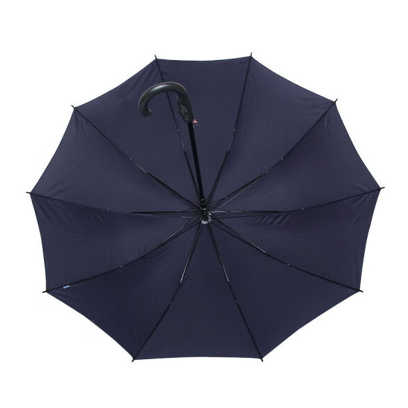 天堂 晴雨伞 193E升级版 长96*11.5*5cm 10股10位 伞架 镀黑 钢杆钢骨 聚脂纤维高清大图