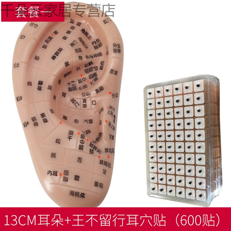 耳穴贴 耳朵模型 耳穴探针 耳豆贴 耳贴压豆 压王不留行籽贴 耳贴 13厘米耳+耳贴