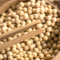 野森林 黄豆500g*2袋