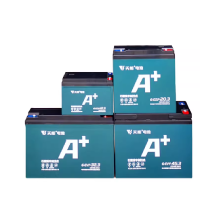 天能 电瓶 60V,32Ah 1只 60V/32Ah