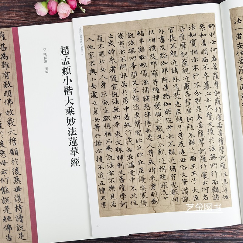 [正版]赵孟頫小楷大乘妙法莲华经 赵孟俯字帖 中国历代经典碑帖 楷书系列 书法字帖碑帖 楷书书法赏析书籍 河南美术出版高清大图