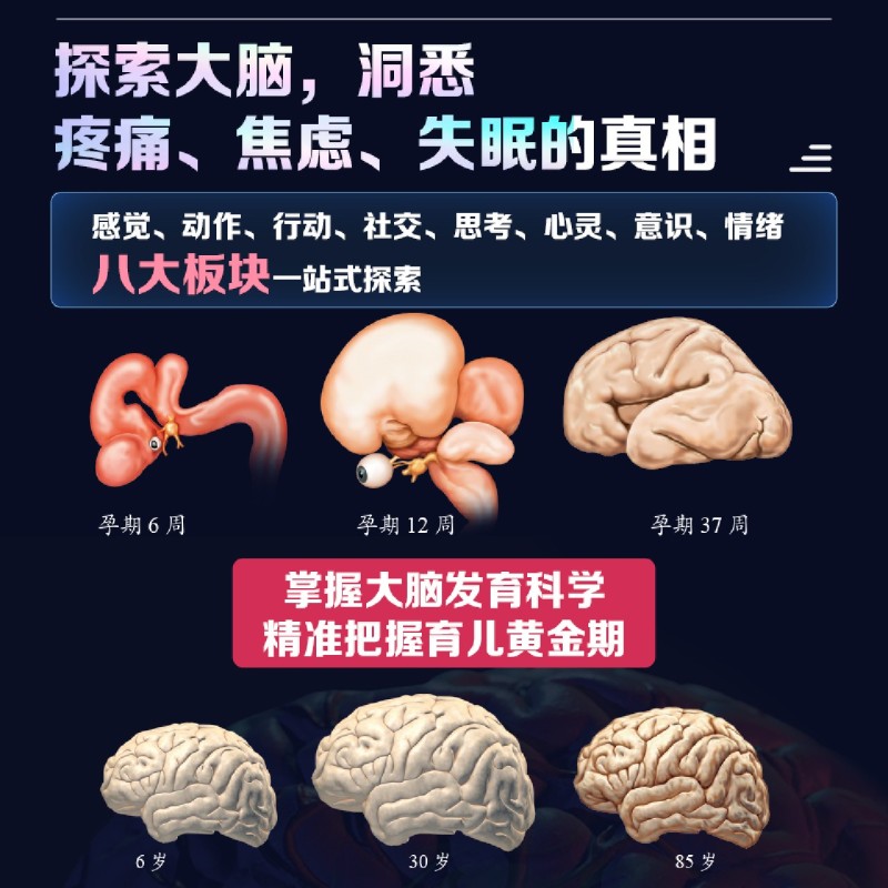 [正版]书店大脑之书 系统解读大脑工作原理 脑科学通识课 了解脑子 3磅宇宙的奇迹 神经脑科学书籍高清大图