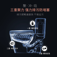 法恩莎卫浴大力神马桶坐便器FB16127软硅胶3出水精铜主体花洒套装