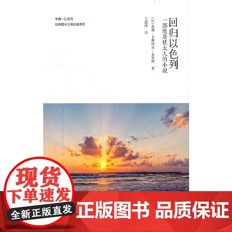 回归以色列-一部埃及犹太人的小说(中国—以色列经典图书互译出版项目)高清大图