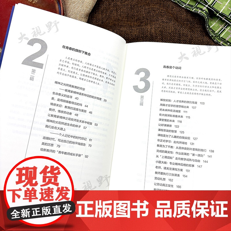 青春的旗帜 教师人生的意义坐标 成尚荣著 大教育书系 长江文艺出版社 教师专业素养提升 教育的四格 教师成长教学方法高清大图