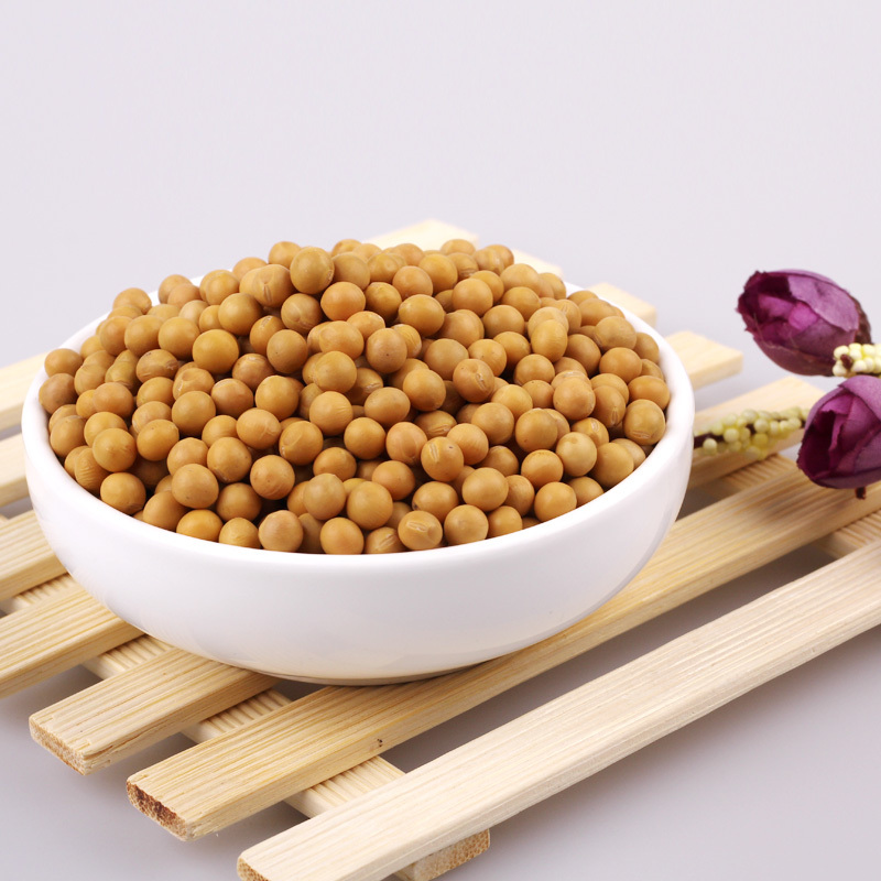 黑土小镇 黄豆 300g *3包真空装 东北五谷杂粮 粗粮 大豆 可打豆浆发豆芽五谷杂粮米杂粮粥米