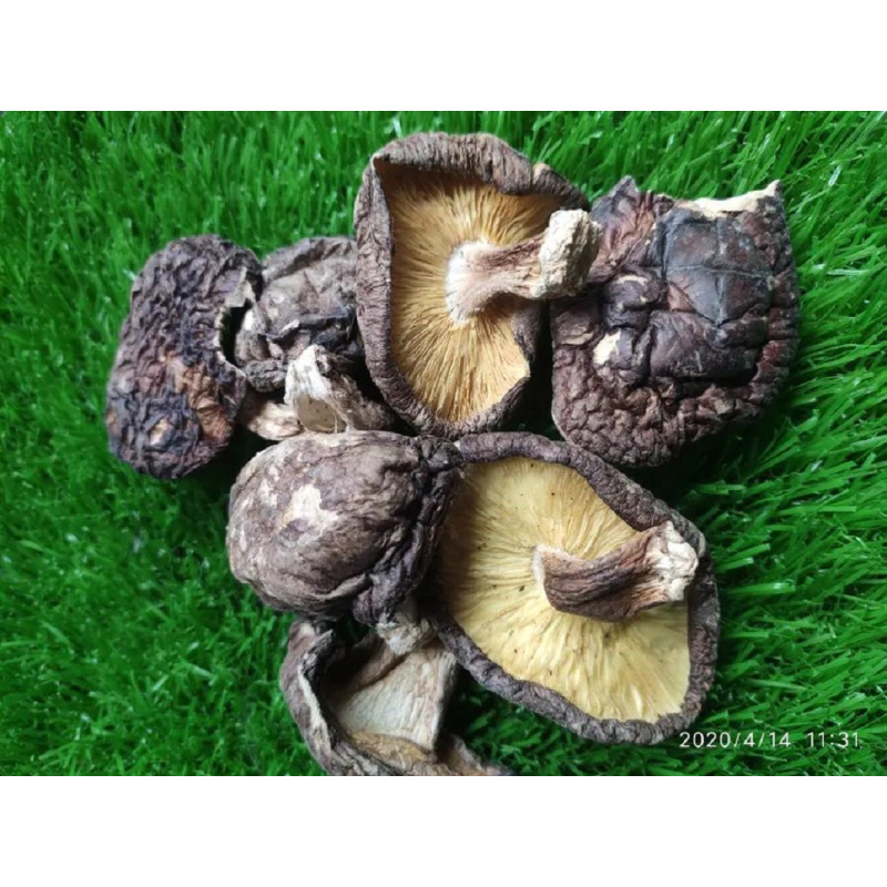 三盾 野生断木香菇200g/袋