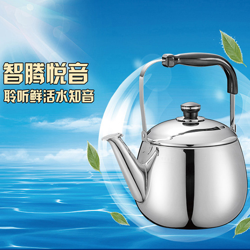 爱仕达(ASD) 烧水壶 304不锈钢4L水壶NG1504 鸣音水壶 明火专用水壶