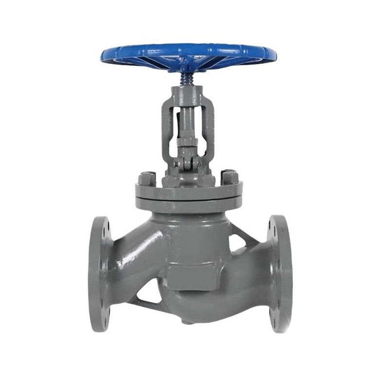 智铮朗月 铸钢法兰截止阀 J41H-16C DN65 个