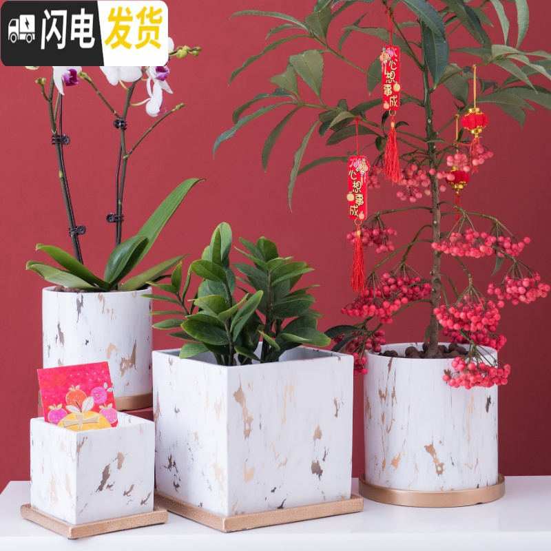 三维工匠北欧轻奢风陶瓷花盆带托盘大号落地花盆客厅金色大理石纹蝴蝶兰盆 圆形中号14X14cm(带托盘) 中等花盆容器