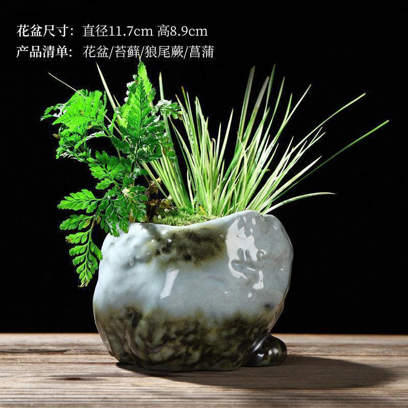 美帮汇禅创意陶瓷花盆简约个性菖蒲袖珍椰子植用室内组合盆栽装饰品高清大图