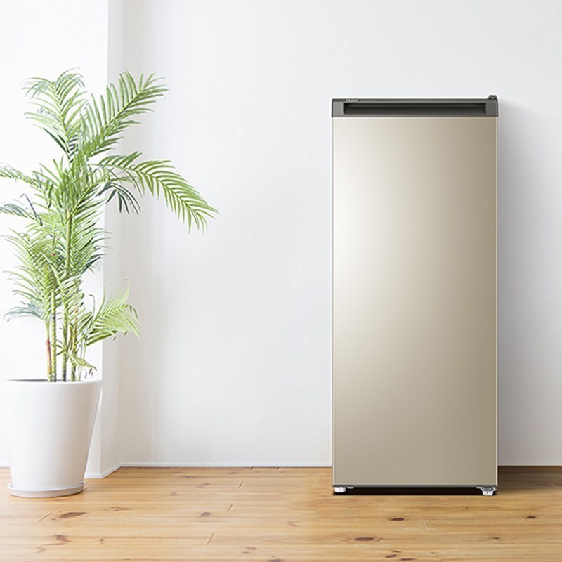 bd-193mdt 193升立式冷柜 家用小冰柜 微霜冷柜立式母乳冷冻 抽屉储奶