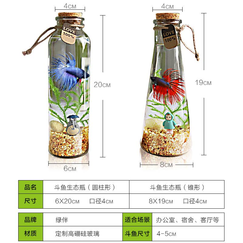 斗鱼生态瓶封闭小鱼瓶免换水瓶装观赏鱼玻璃桌面透明微景观鱼小型图片