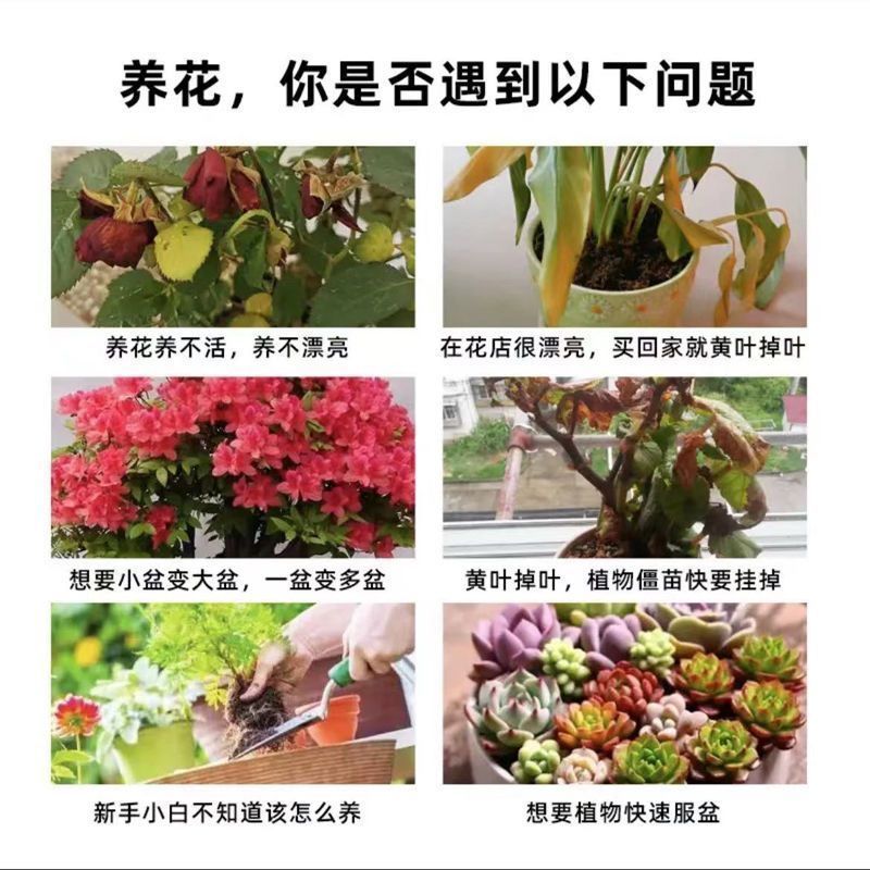 植物通用型活力素养花专用快速复活超浓缩营养液-50ml一瓶;10瓶高清大图